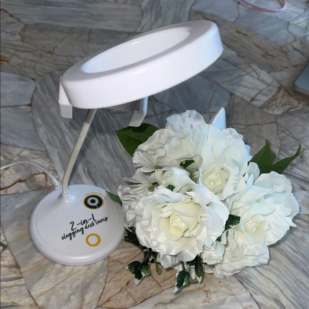 2-in-1 White Silver Vlogging Desk Lamp NWT Beauty Vlog Video Ring Light